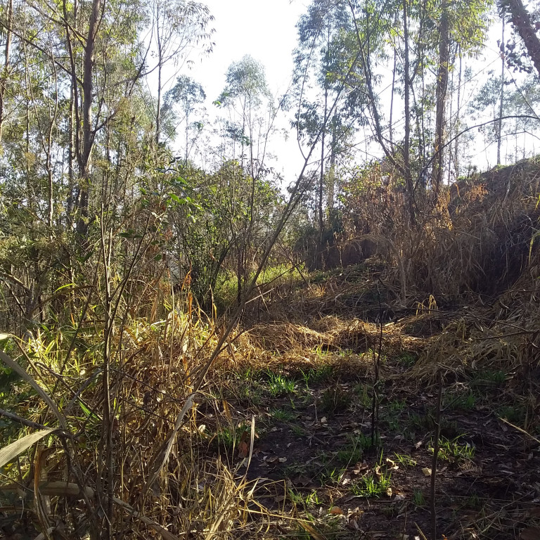 Captação de Terreno a venda na Rua Doutor Mário Toledo de Moraes, Jardim dos Lagos, Franco da Rocha, SP