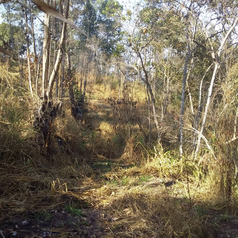 Captação de Terreno a venda na Rua Doutor Mário Toledo de Moraes, Jardim dos Lagos, Franco da Rocha, SP