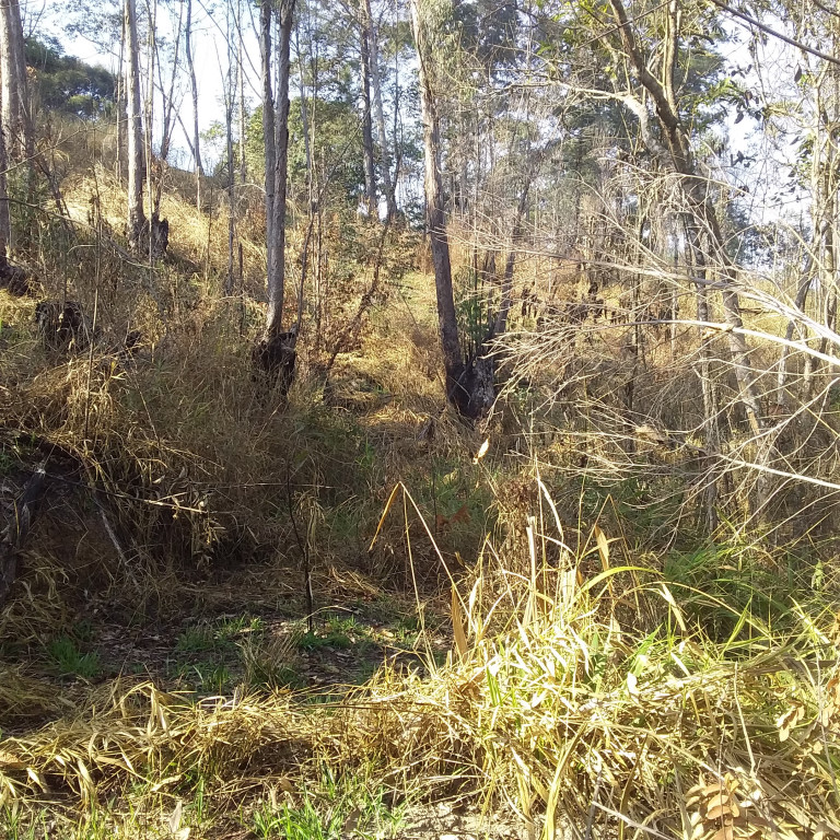 Captação de Terreno a venda na Rua Doutor Mário Toledo de Moraes, Jardim dos Lagos, Franco da Rocha, SP