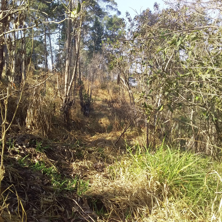 Captação de Terreno a venda na Rua Doutor Mário Toledo de Moraes, Jardim dos Lagos, Franco da Rocha, SP