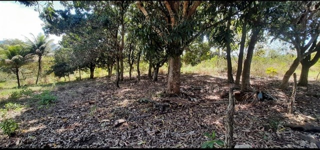 Foto - Cariacica - Vila Merlo