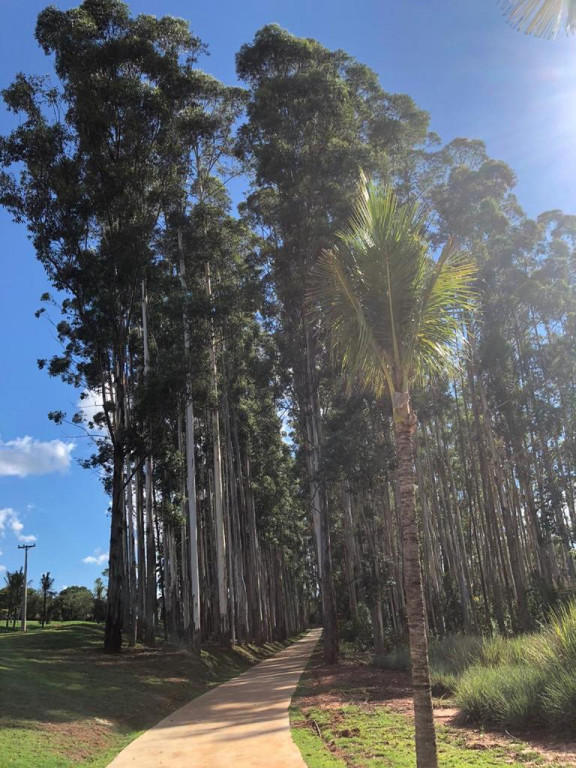 foto - Itaí - Riviera de Santa Cristina III