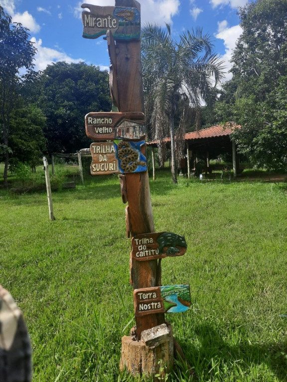 Foto - Brasília - Setor D Sul