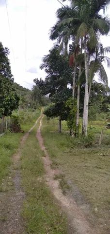 Casa à venda, 5000m² - Foto 3