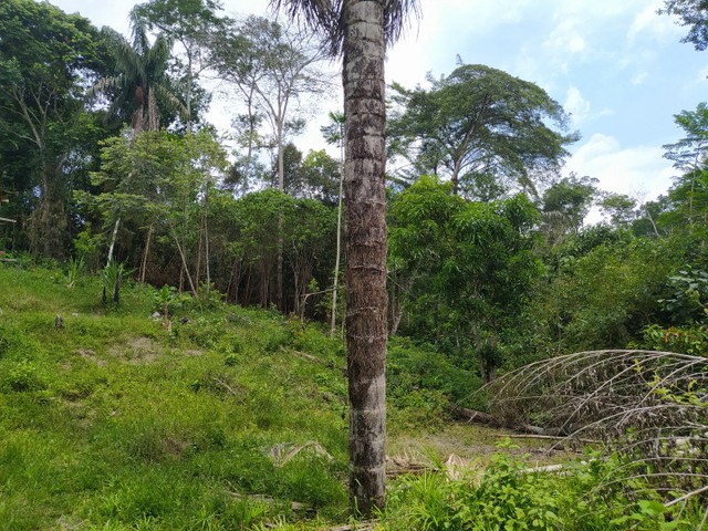 foto - Manaus - Parque 10 de Novembro