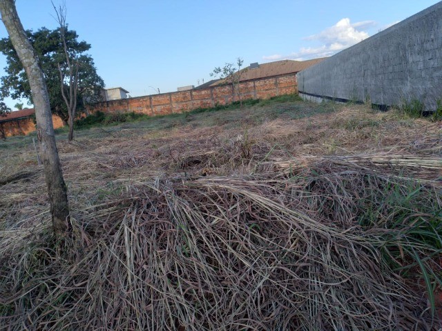 foto - Brasília - Colônia Agrícola Samambaia