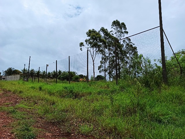 foto - Londrina - Dom Pedro I