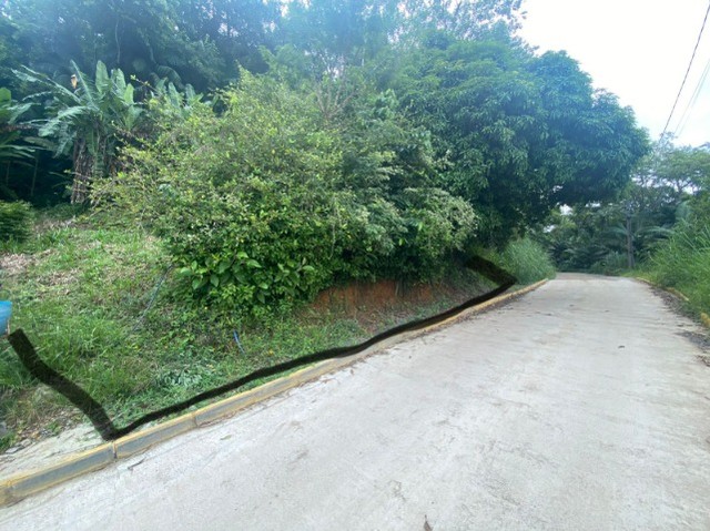 Foto - Guaramirim - Nova Esperança