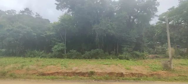 Foto - Campo Largo - Passauna