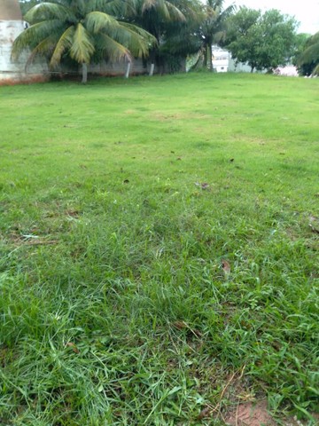 Foto - Vitória - Santa Martha