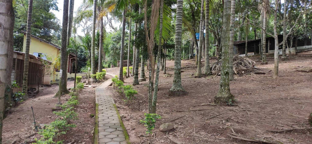 Fazenda à venda com 11 quartos, 30000m² - Foto 3