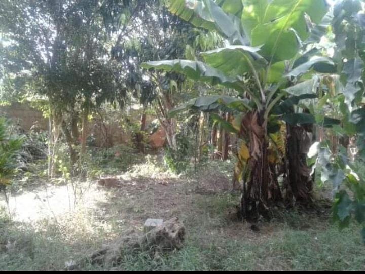 Captação de Apartamento a venda na Avenida Campinas, Chácara do Visconde, Taubaté, SP