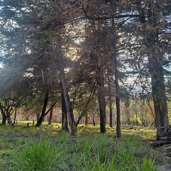 Captação de Sítio/Fazenda a venda na Estrada Tangará KM 1O, Água Limpa, Rio Acima, MG