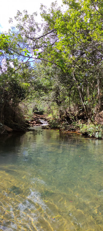 Captação de Sítio/Fazenda a venda na Estrada Tangará KM 1O, Água Limpa, Rio Acima, MG