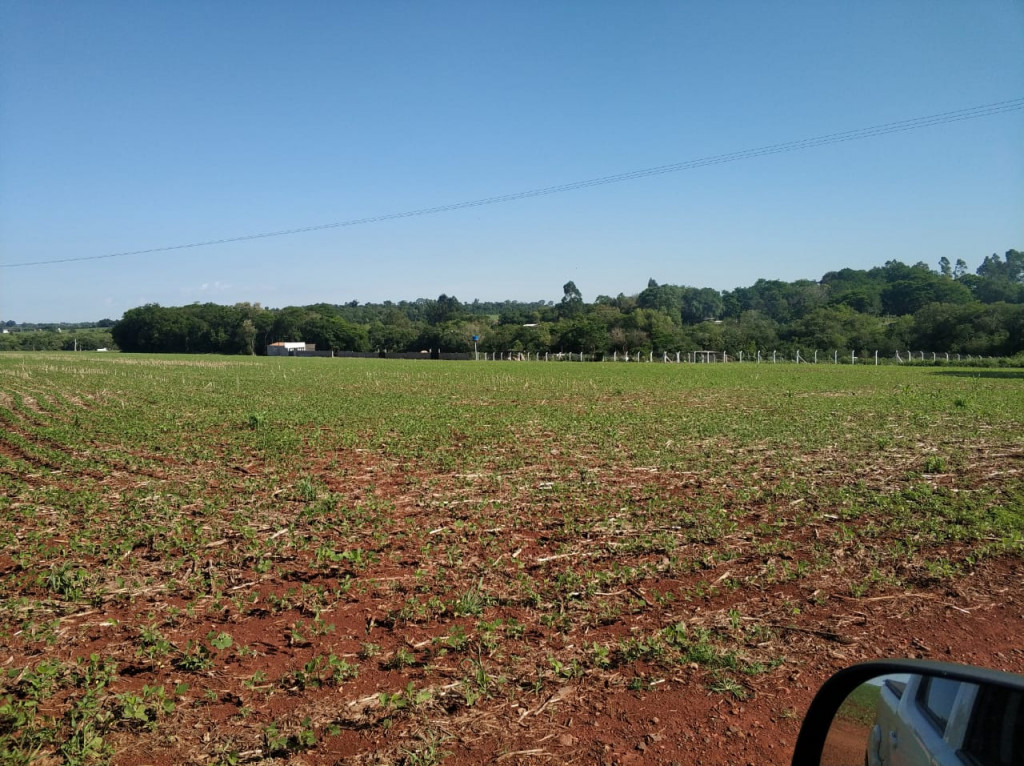 Fazenda à venda, 62000m² - Foto 4