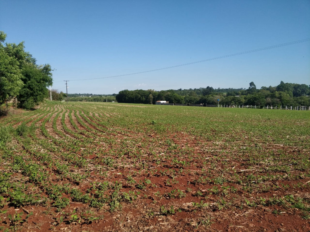 Fazenda à venda, 62000m² - Foto 1