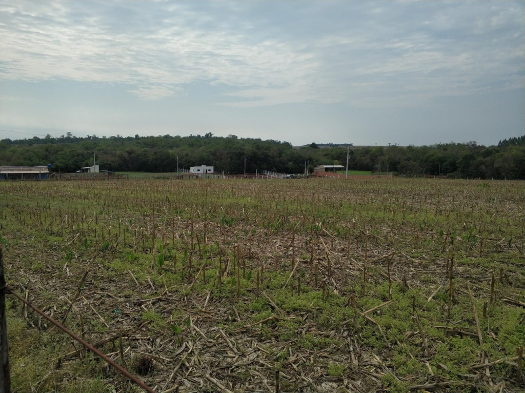 Fazenda à venda, 62000m² - Foto 5