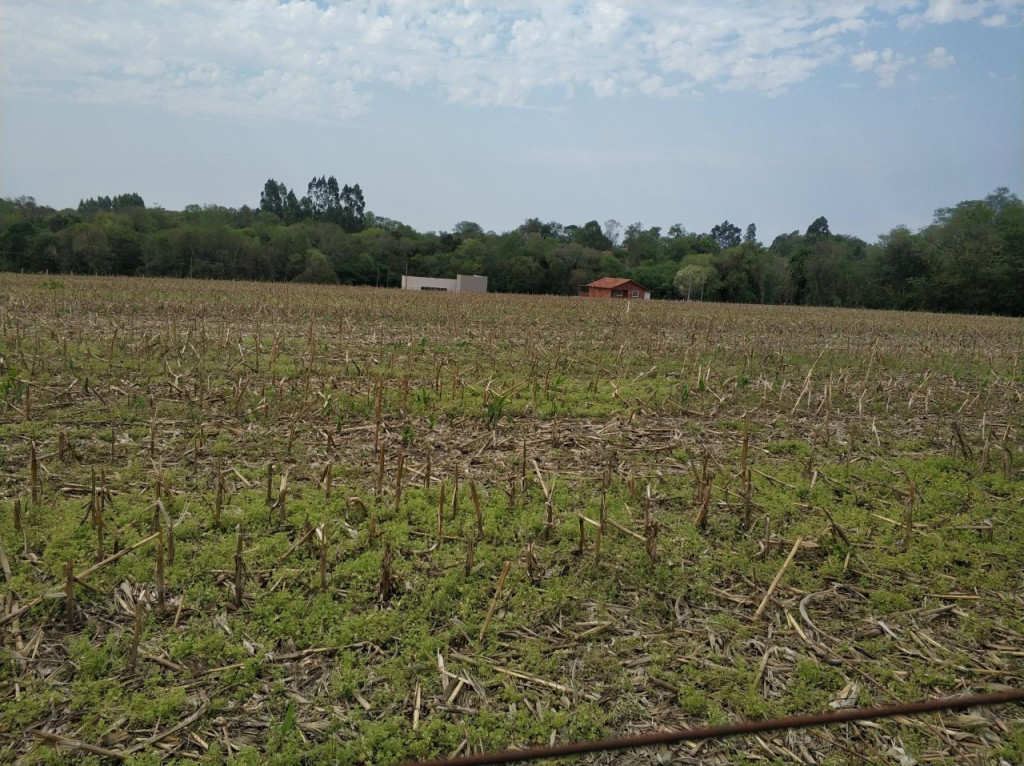 Fazenda à venda, 62000m² - Foto 6