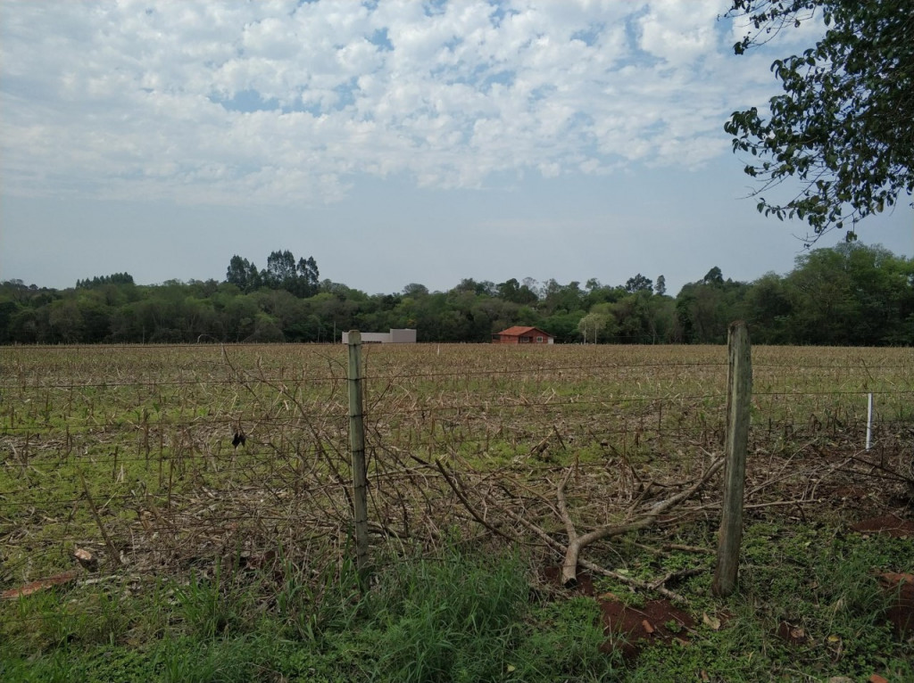 Fazenda à venda, 62000m² - Foto 9