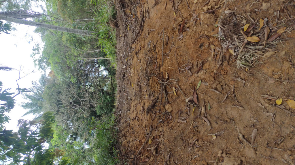 Captação de Sítio/Fazenda a venda na Via Matoim, Distrito Industrial, Candeias, BA