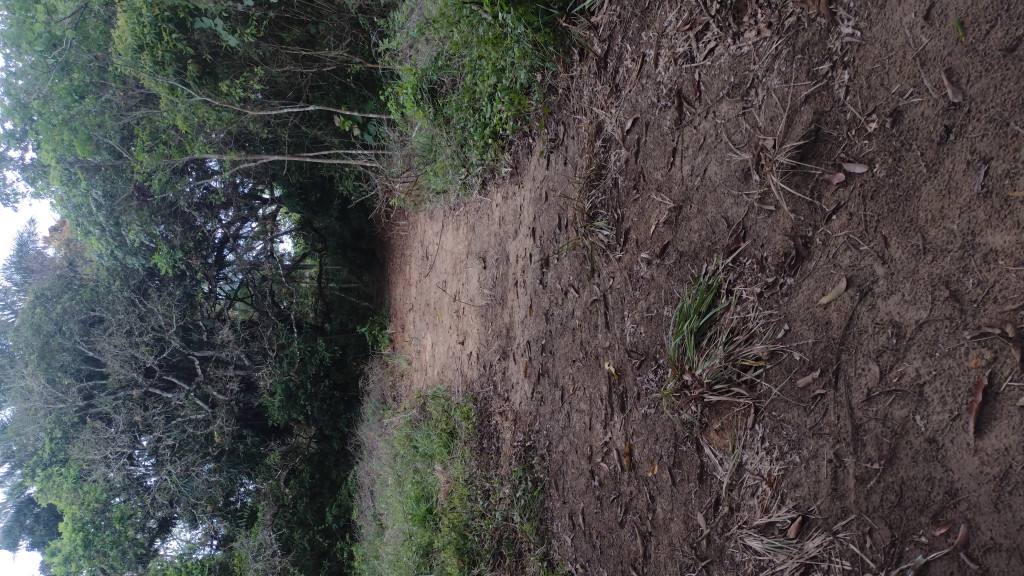 Captação de Sítio/Fazenda a venda na Via Matoim, Distrito Industrial, Candeias, BA