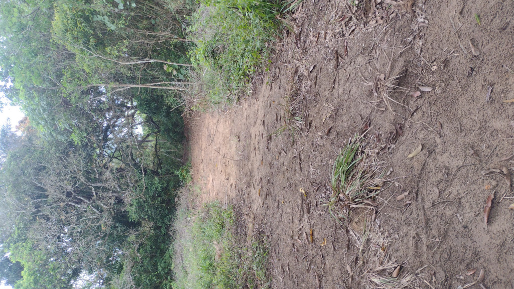 Captação de Sítio/Fazenda a venda na Via Matoim, Distrito Industrial, Candeias, BA