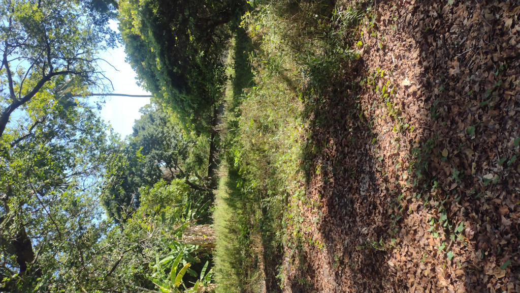 Captação de Sítio/Fazenda a venda na Via Matoim, Distrito Industrial, Candeias, BA