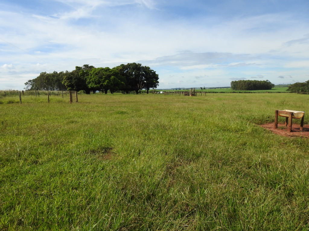 Sítio/Fazenda a venda na Gleba Jaborandi, Zona Rural, Ivinhema, MS