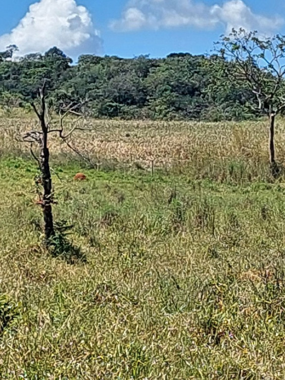 foto - Pirenópolis - 