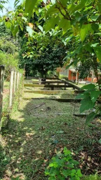 Foto - Rio de Janeiro - Senador Vasconcelos