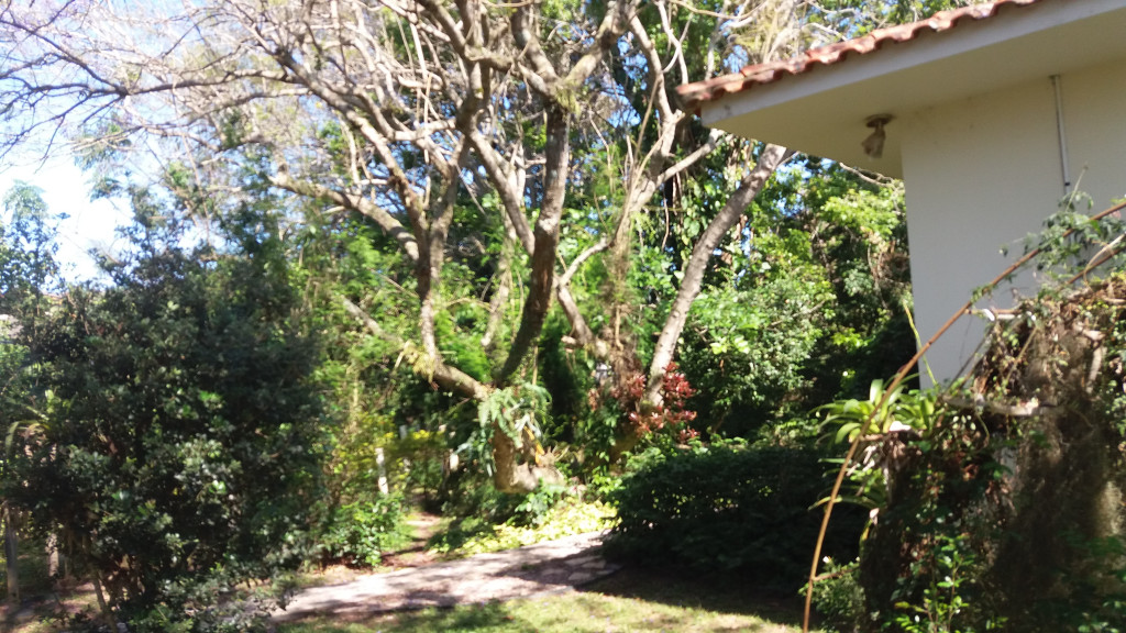 Casa a venda na Rua Vale do Sol, São João do Rio Vermelho, Florianópolis, SC