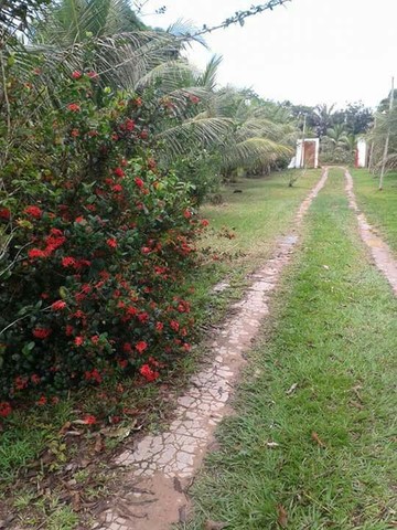 Foto - Rio Preto da Eva - 