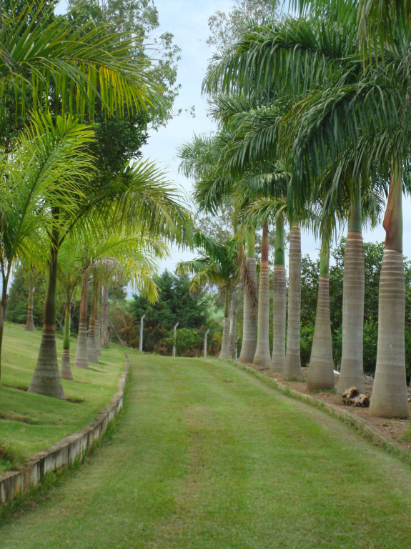 Fazenda à venda com 5 quartos, 24000m² - Foto 5