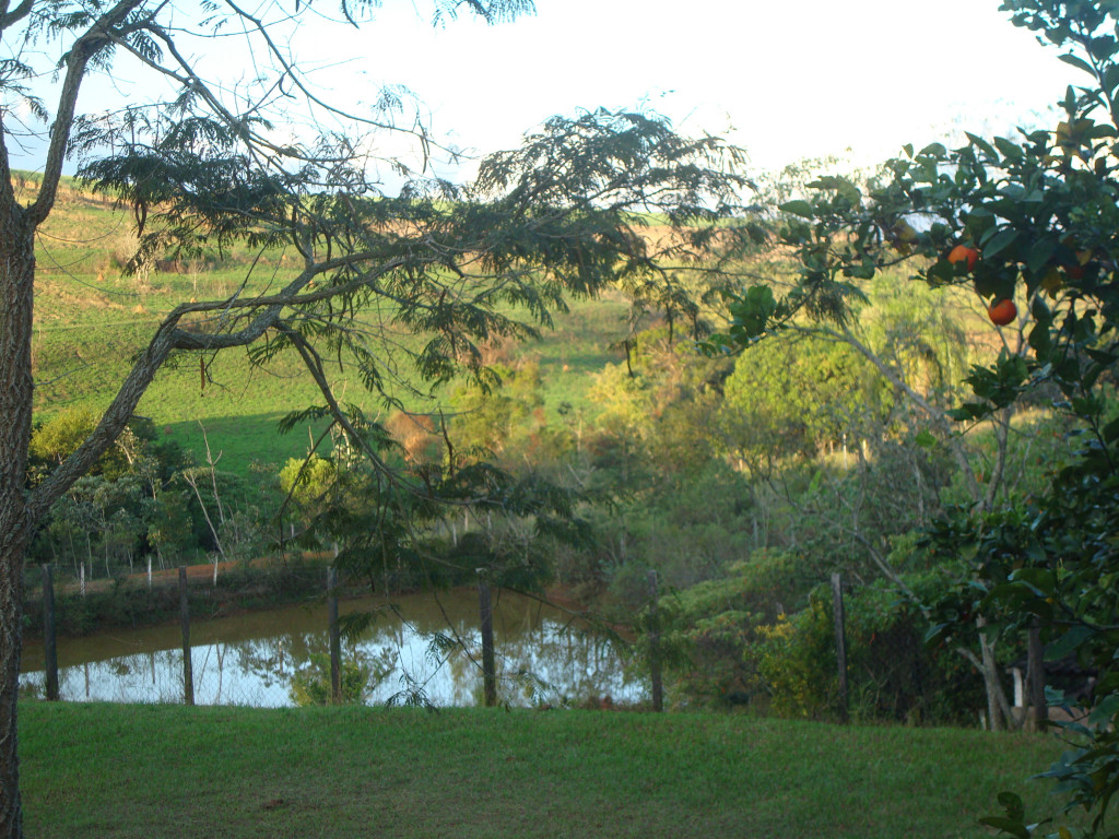 Fazenda à venda com 5 quartos, 24000m² - Foto 6