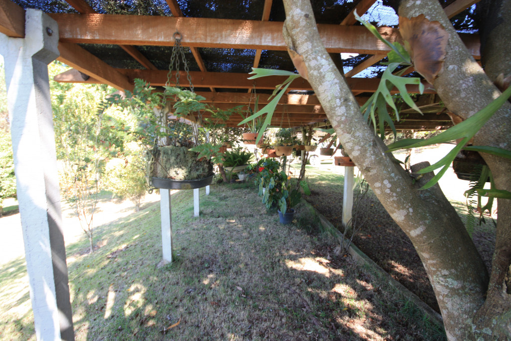 Fazenda à venda com 5 quartos, 24000m² - Foto 21