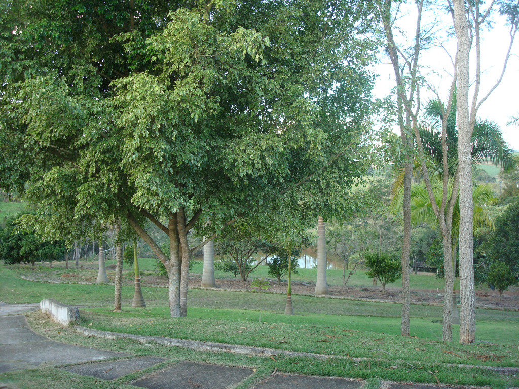 Captação de Sítio/Fazenda a venda na Estrada Municipal Nossa Senhora Rainha da Paz, Guamirim, Caçapava, SP