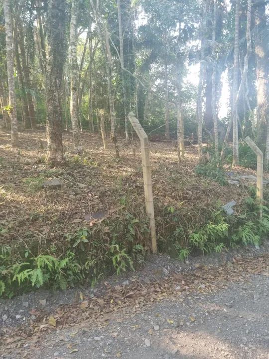 Foto - São Paulo - Sítio Represa