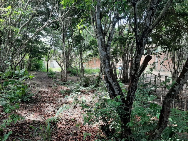 Foto - Tibau do Sul - 