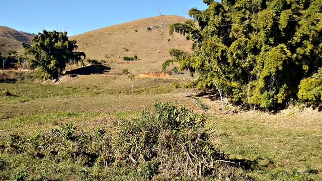 foto - Quatis - Ribeirão de São Joaquim