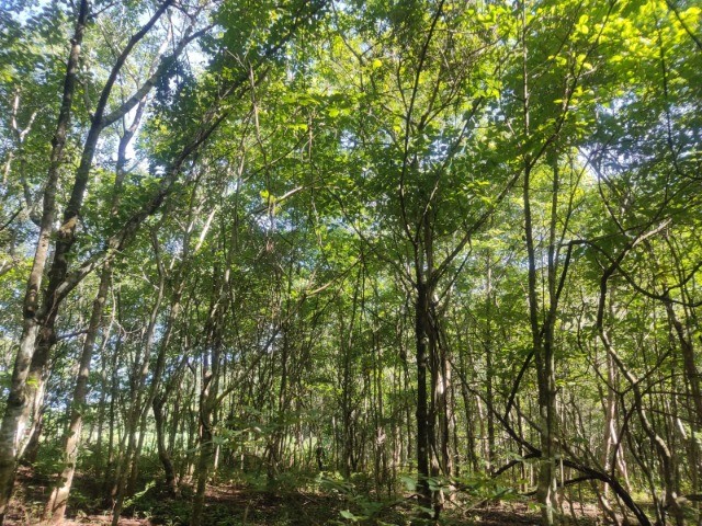 foto - Brasília - Asa Norte