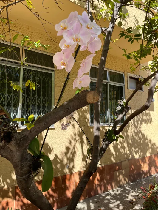 Foto Imóvelp