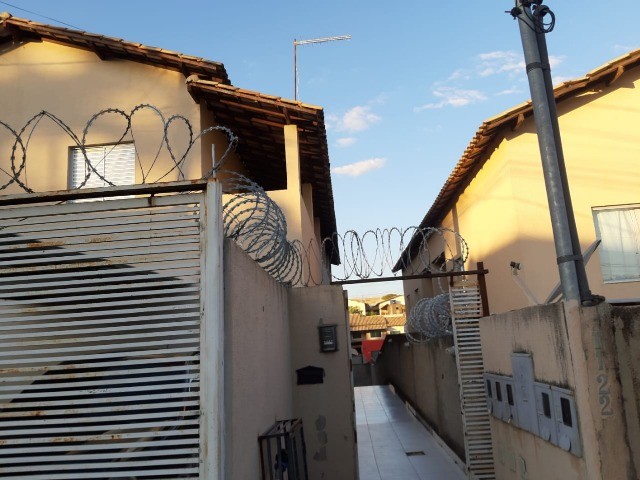 Foto - Esmeraldas - Floresta Encantada