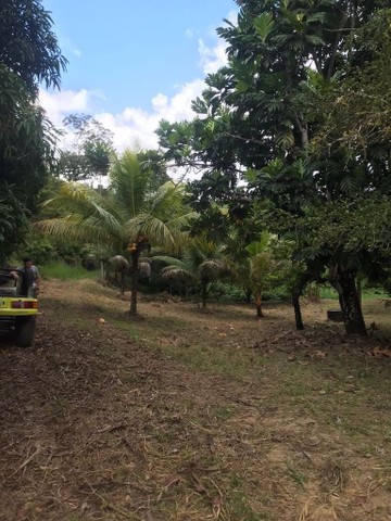 Foto - Jaboatão dos Guararapes - Centro
