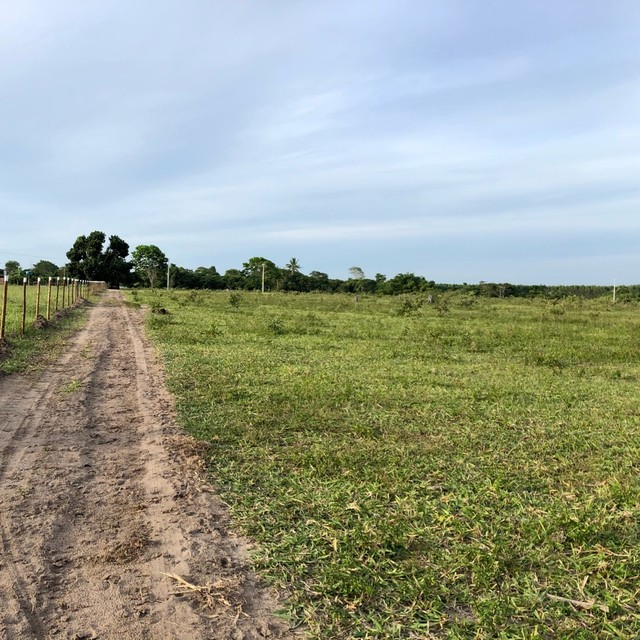 Foto - Teixeira de Freitas - Centro