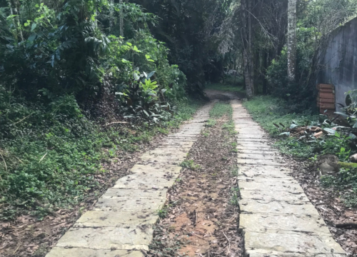 foto - Nova Friburgo - Cônego