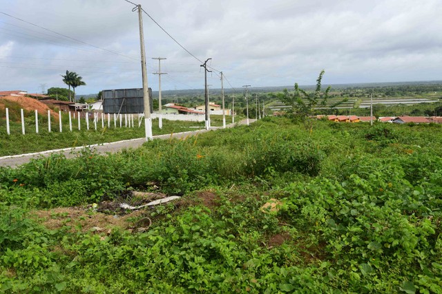 Foto - São Gonçalo do Amarante - Santa Terezinha