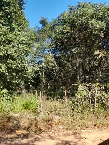 Foto - Goiânia - Jardim Novo Mundo