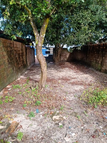 Foto - Santarém - Santo André