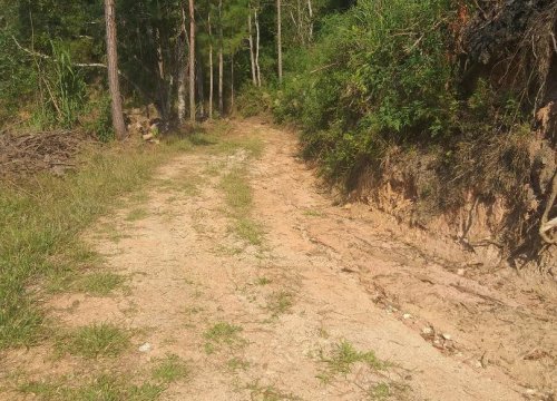 Captação de Sitio/Fazenda a venda na 02 km estrada de chão,  116 sentido quatro barras, Zona Rural, Bocaiúva do Sul, PR