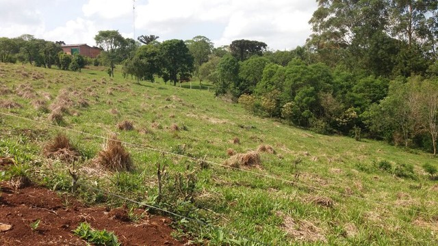 Foto - Chapecó - Centro (Marechal Bormann)
